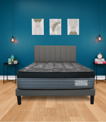 9 inches Semi-firm Foam Mattress Raptor