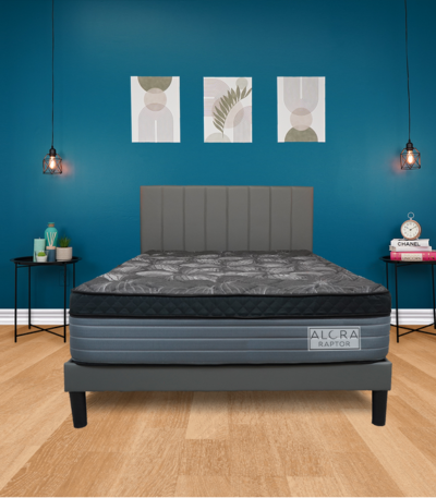 9 inches Semi-firm Foam Mattress Raptor